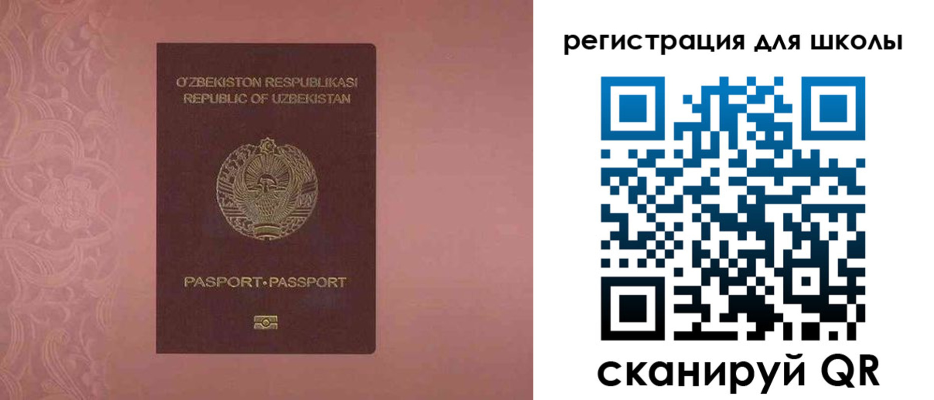 прописка для школы в Новочеркасске